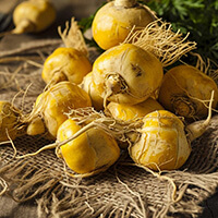 ingredients of GlucoTonic